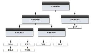 距離向量路由選擇協(xié)議 信息處理與存儲支持服務(wù)的關(guān)鍵支撐